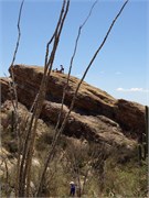 Tucson 2559